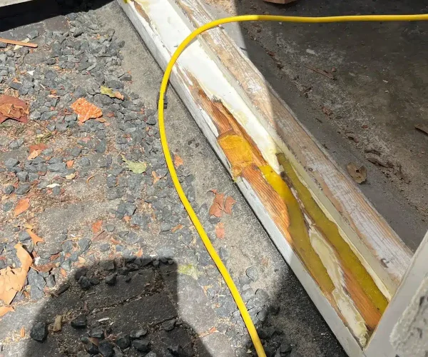 PHOTO-2025-08-05-22-48-02