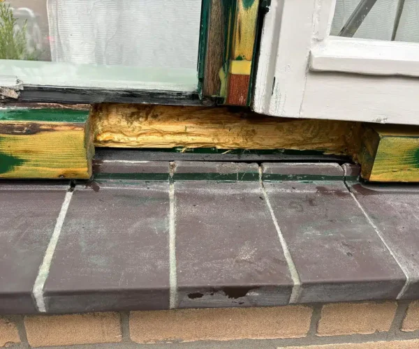 PHOTO-2025-08-07-14-26-34(10)