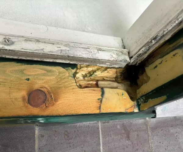 PHOTO-2025-08-07-14-26-34(11)