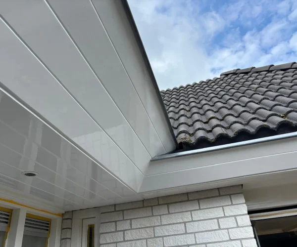 PHOTO-2025-08-07-14-26-34(4)